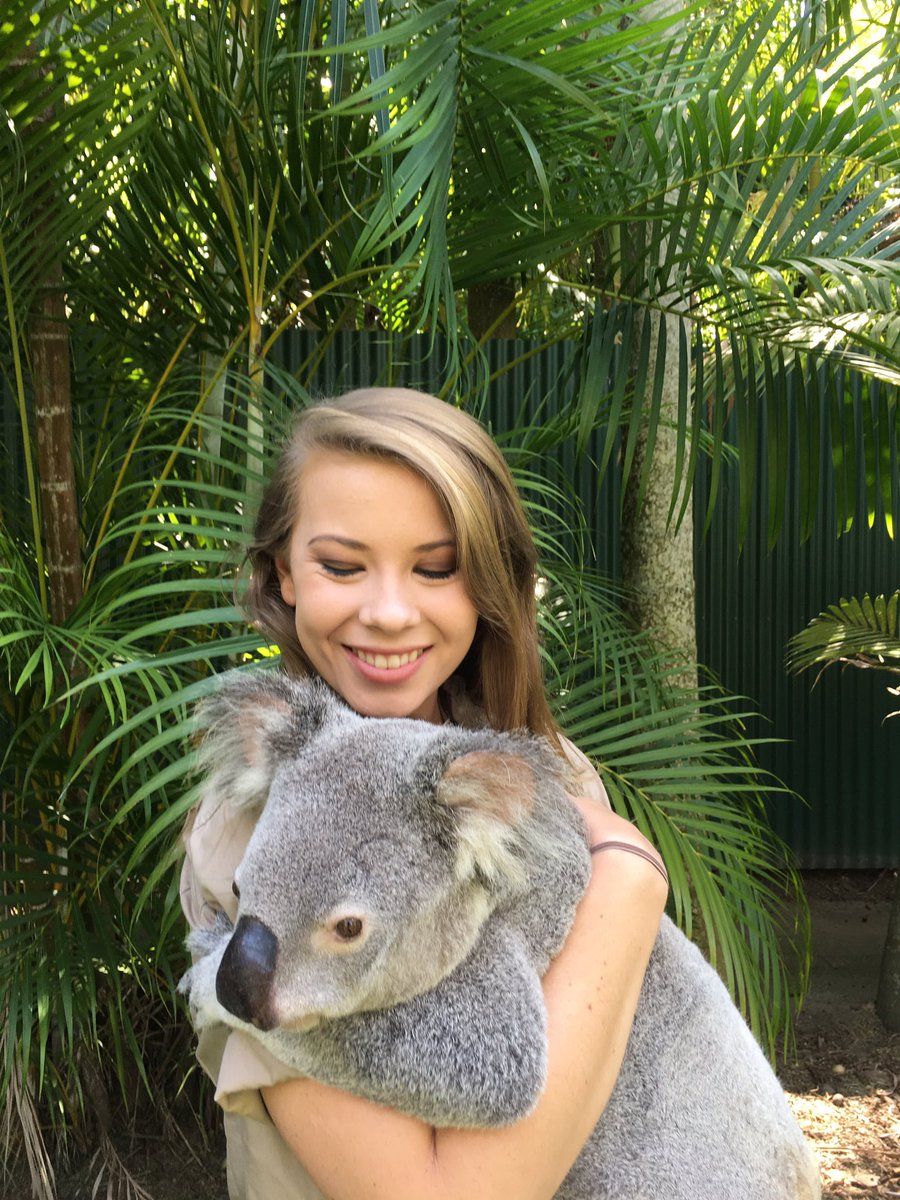 O que essas celebridades fizeram para apoiar a Austrália (não foi doar dinheiro) 6 Bindi Irwin com o urso coala
