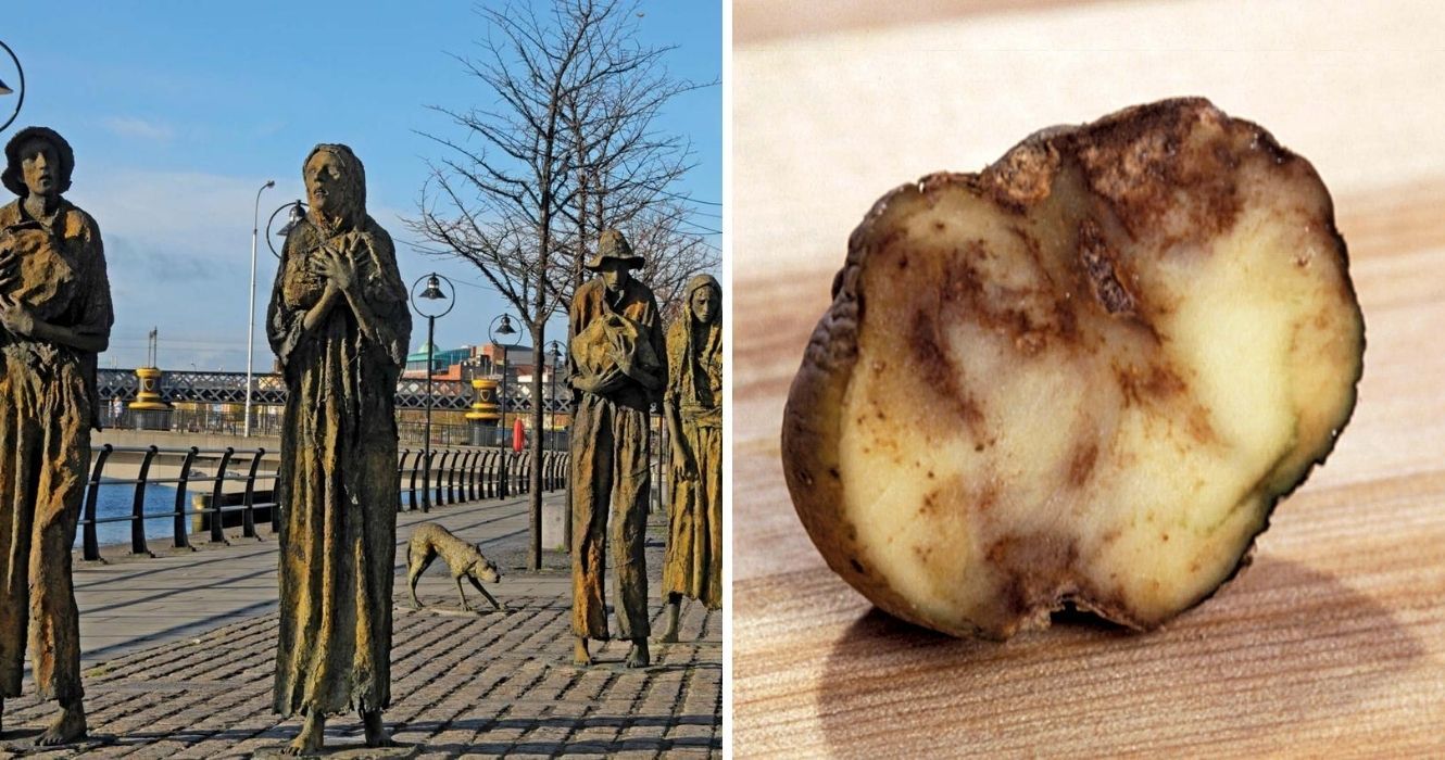 um memorial representando a fome da batata na irlanda