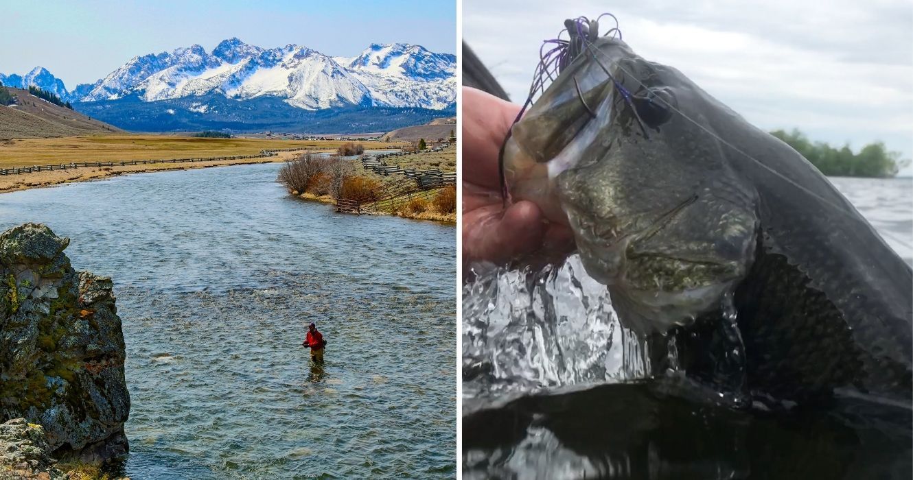 Fishing On The Fly: viagens que deveriam estar na lista de todos 1 pescando no lago salmon, idaho, um peixe no lago champlain