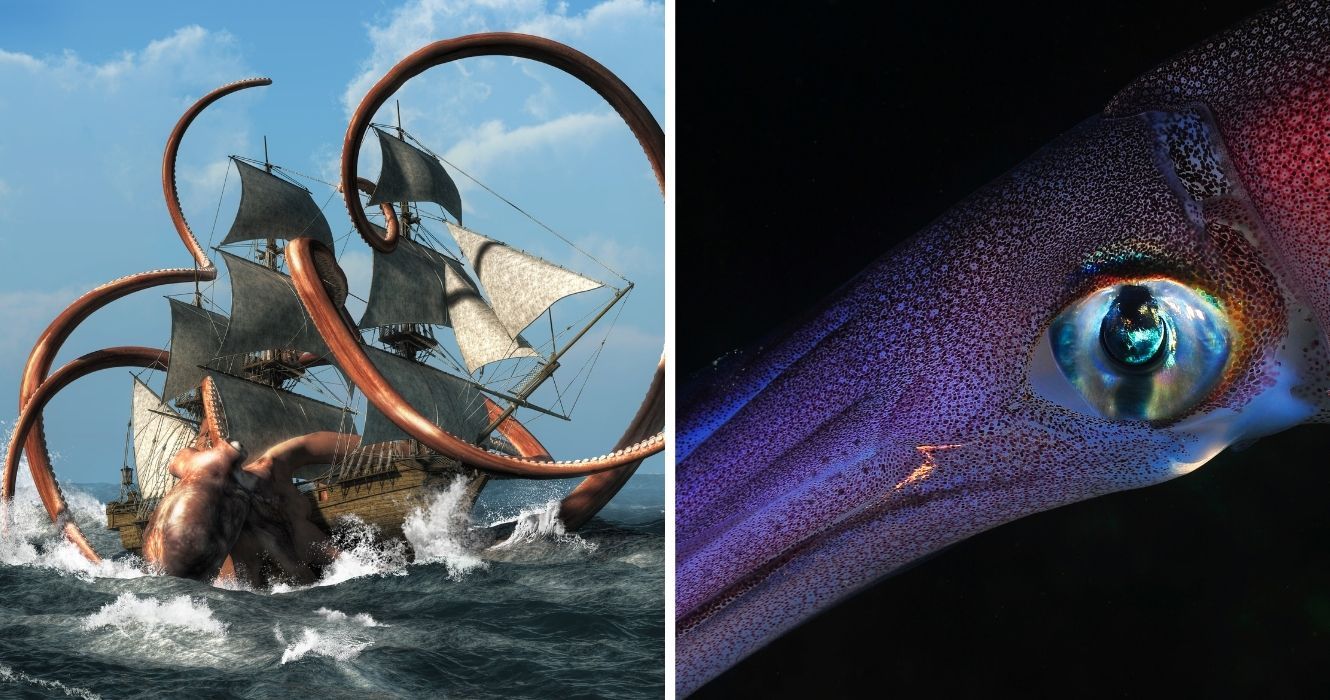 Lendas sobre o Kraken continuaram até o século 18, mas poderia realmente existir em algum lugar? 1 obra de arte representando um kraken, um olho de lula gigante