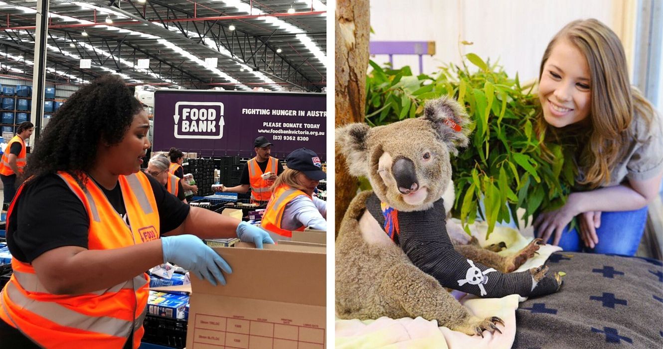 O que essas celebridades fizeram para apoiar a Austrália (não foi doar dinheiro) 1 voluntários de lizzo na austrália, bandi irwin enfaixa um coala ferido