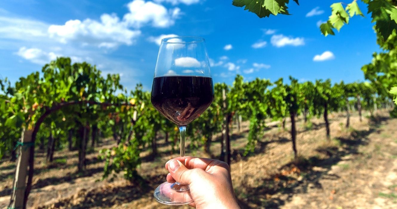 Vá para Minnesota para seguir uma das várias trilhas de vinho neste verão 1 Vá para Minnesota para seguir uma das várias trilhas de vinho neste verão 1
