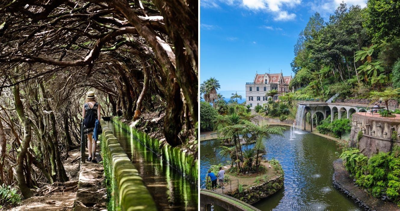 Viajantes vacinados já podem ir à Madeira, e é isso que você precisa ver enquanto estiver lá 1 uma levada na madeira, Jardim Tropical Monte Palace