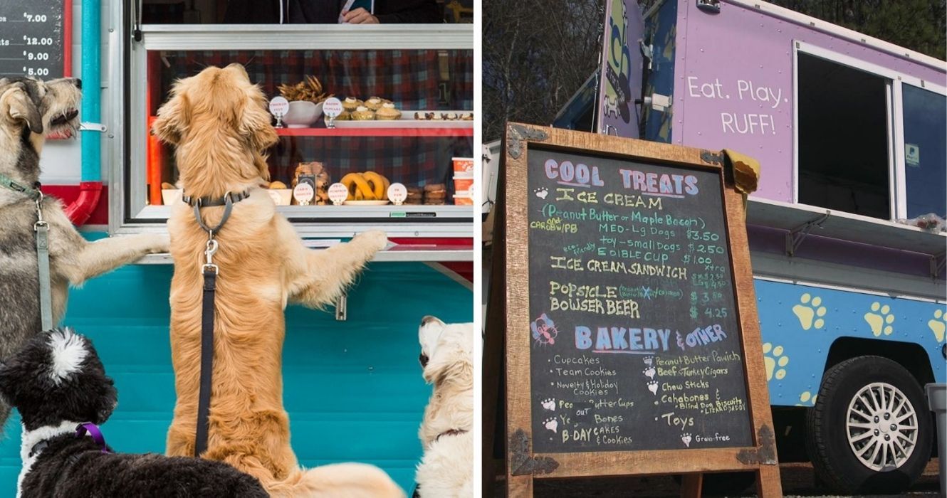 Woof It Up: Esses caminhões de comida para cães existem e estão prontos para servir seu melhor amigo peludo 1 Woof It Up: Esses caminhões de comida para cães existem e estão prontos para servir seu melhor amigo peludo 1