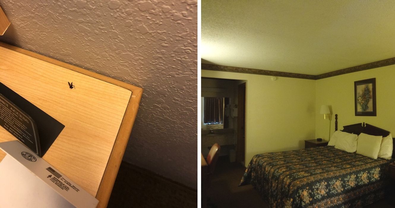 10 fotos de quartos de hotel tiradas por hóspedes que ficaram em redes populares 1 uma foto de um bug em um hotel, um hotel super 8 está sujo