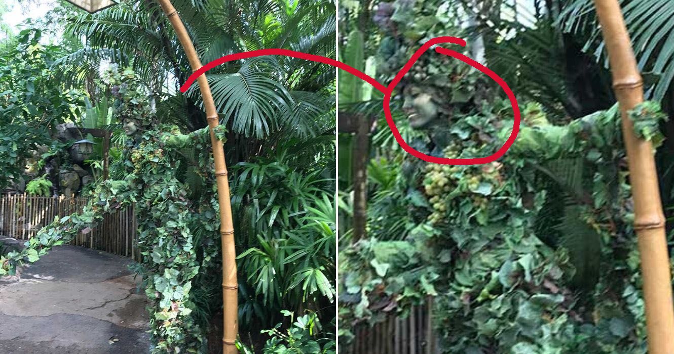 Indo para a Disney? Aqui estão alguns segredos pouco conhecidos sobre o parque temático 5 Artista de rua DiVine camuflado entre as árvores e vegetação no Magic Kingdom