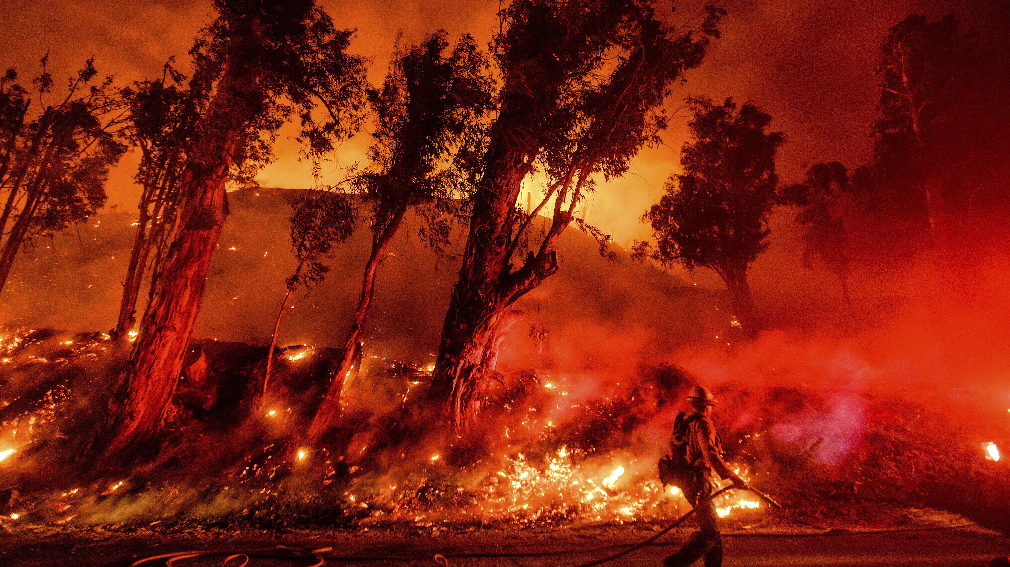 Governador da Califórnia diz que mudança climática é a culpada pelos incêndios florestais de 2020 5 os incêndios florestais na califórnia