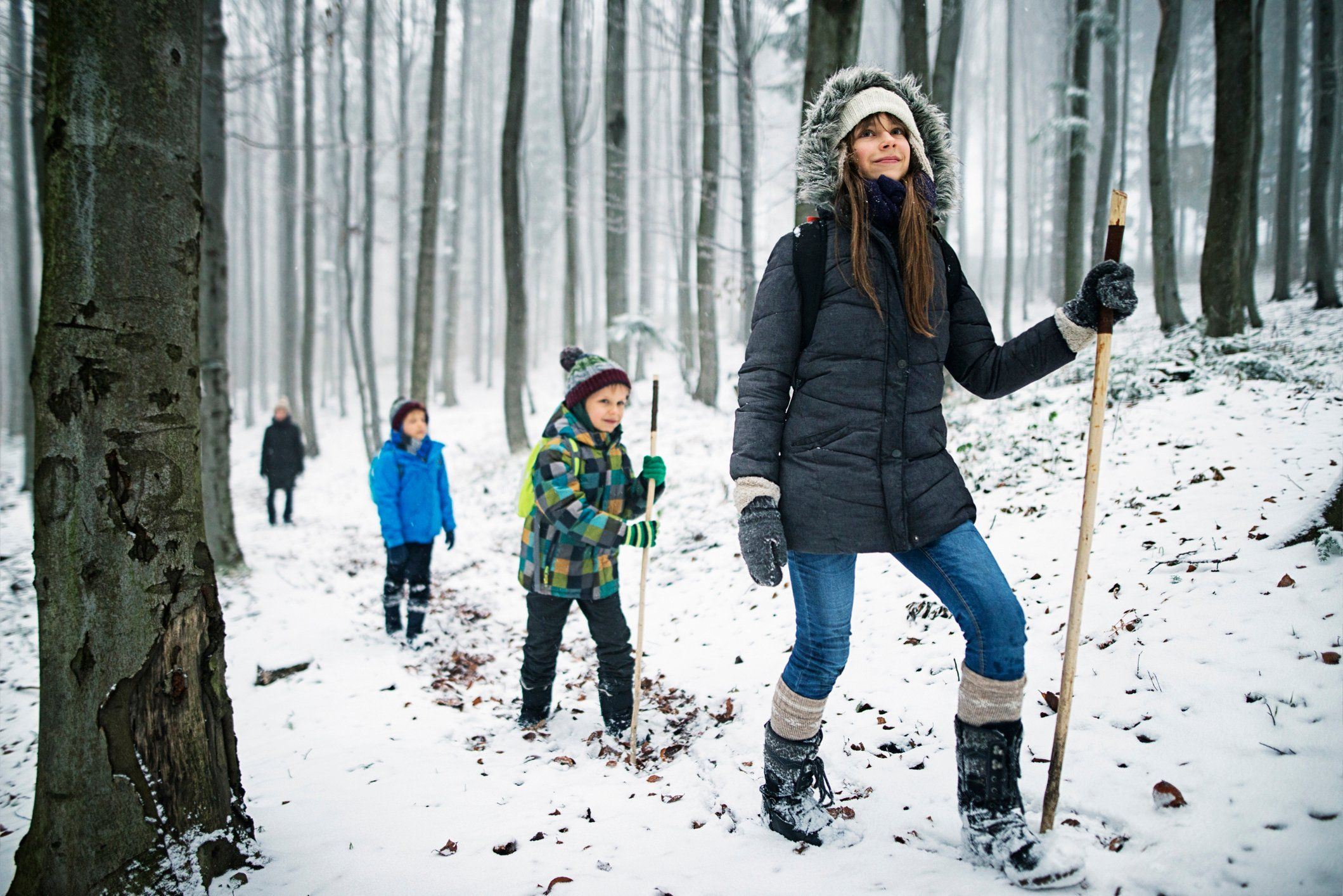Querendo saber o que você pode fazer no inverno? Adicione estas atividades recreativas à sua lista 5 uma família em uma caminhada de inverno