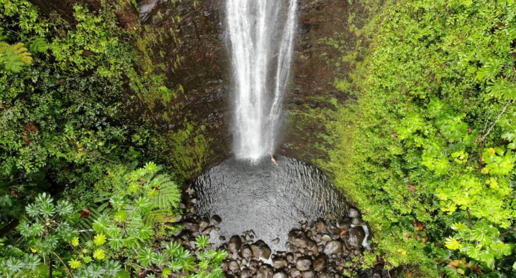 Manoa Falls From the Air