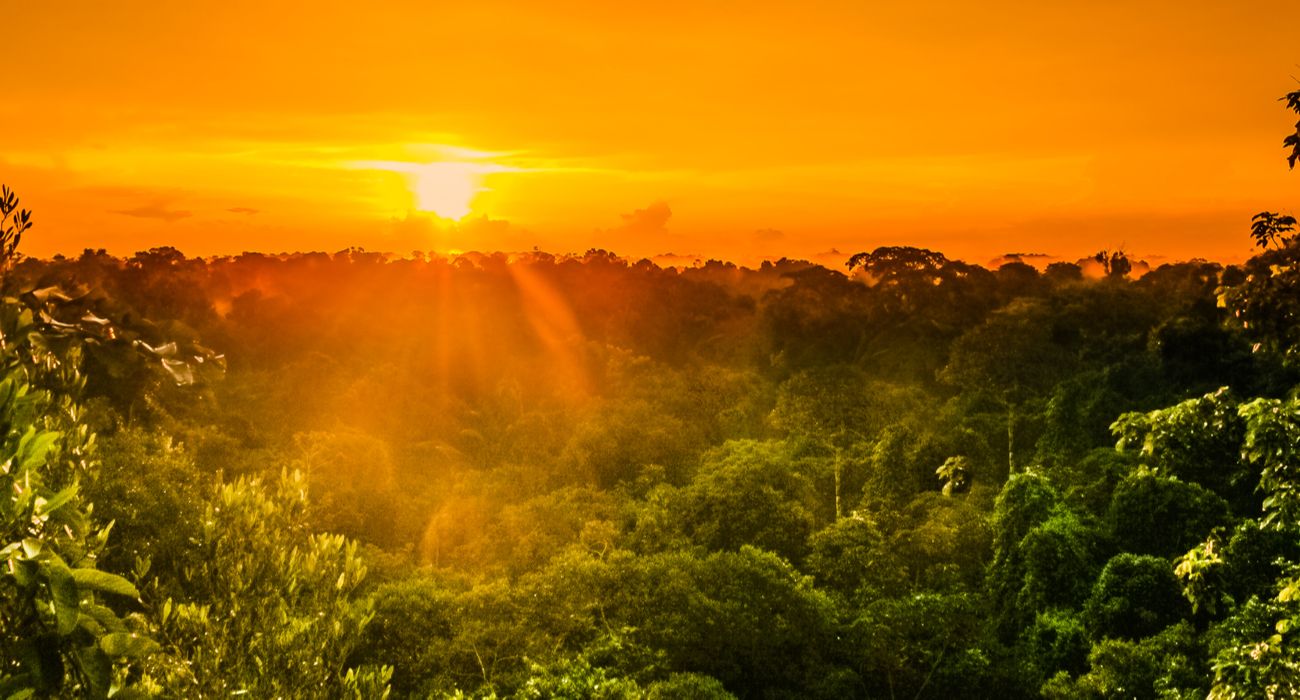 Aprenda sobre os povos indígenas neste museu nas profundezas da Amazônia 1 Pôr do Sol na Floresta Amazônica