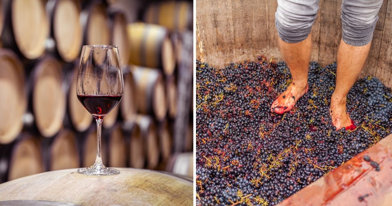 As uvas para o vinho do Porto são colhidas à mão, mas processadas a pé 1