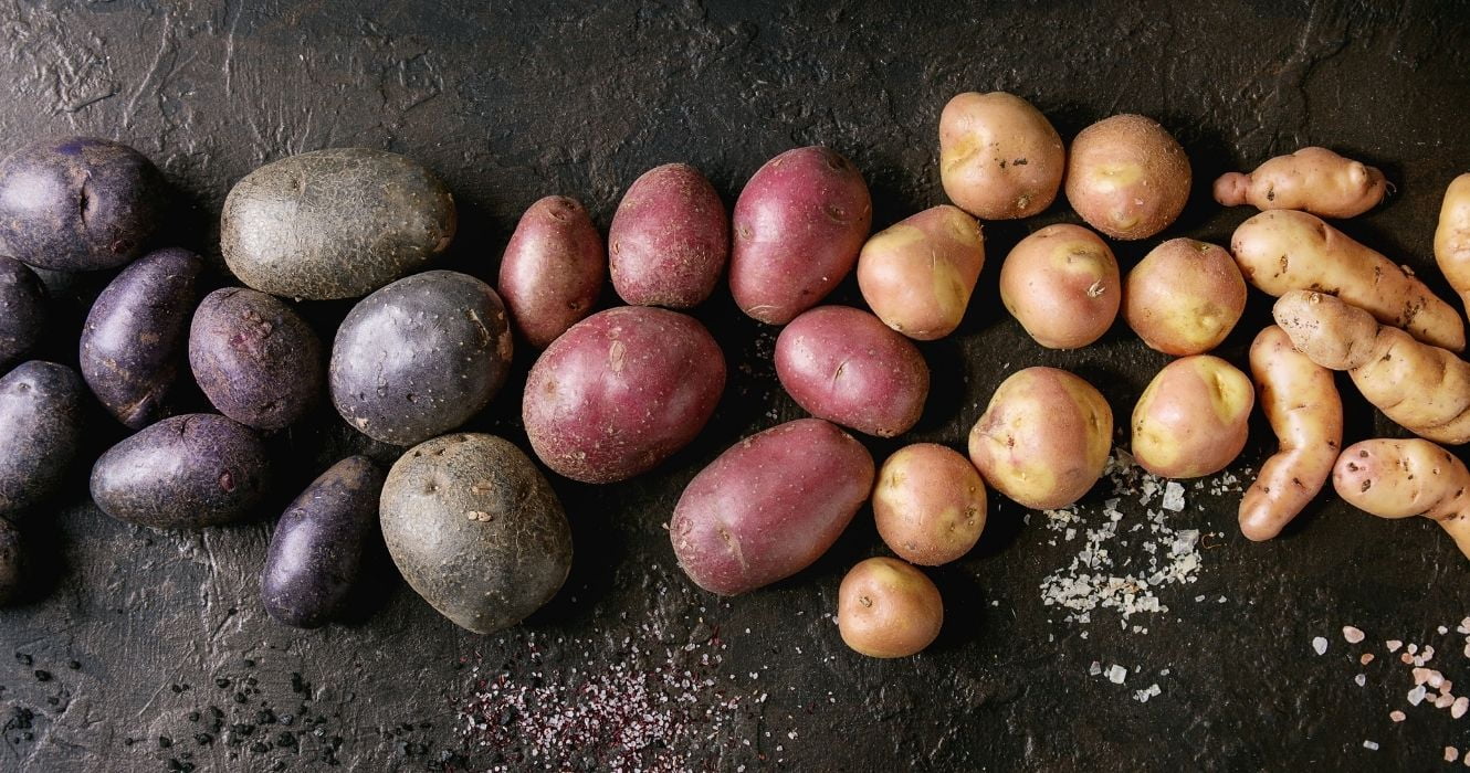 Batatas são confusas: aqui está um guia para navegar no vegetal mais amado do Dia de Ação de Graças 1 uma variedade de batatas mistas