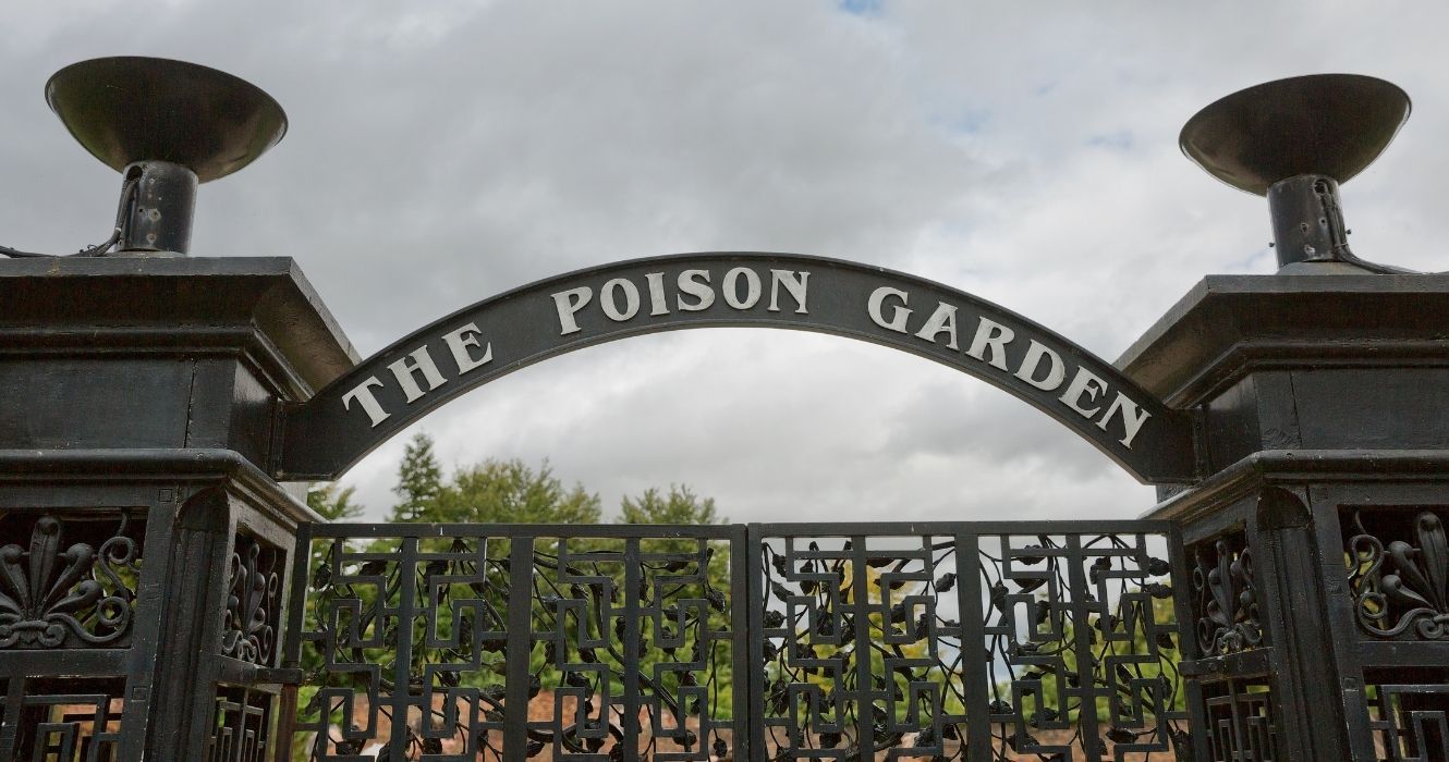 Bem-vindo ao Alnwick Garden, onde as plantas são os principais predadores 1 Bem-vindo ao Alnwick Garden, onde as plantas são os principais predadores 1