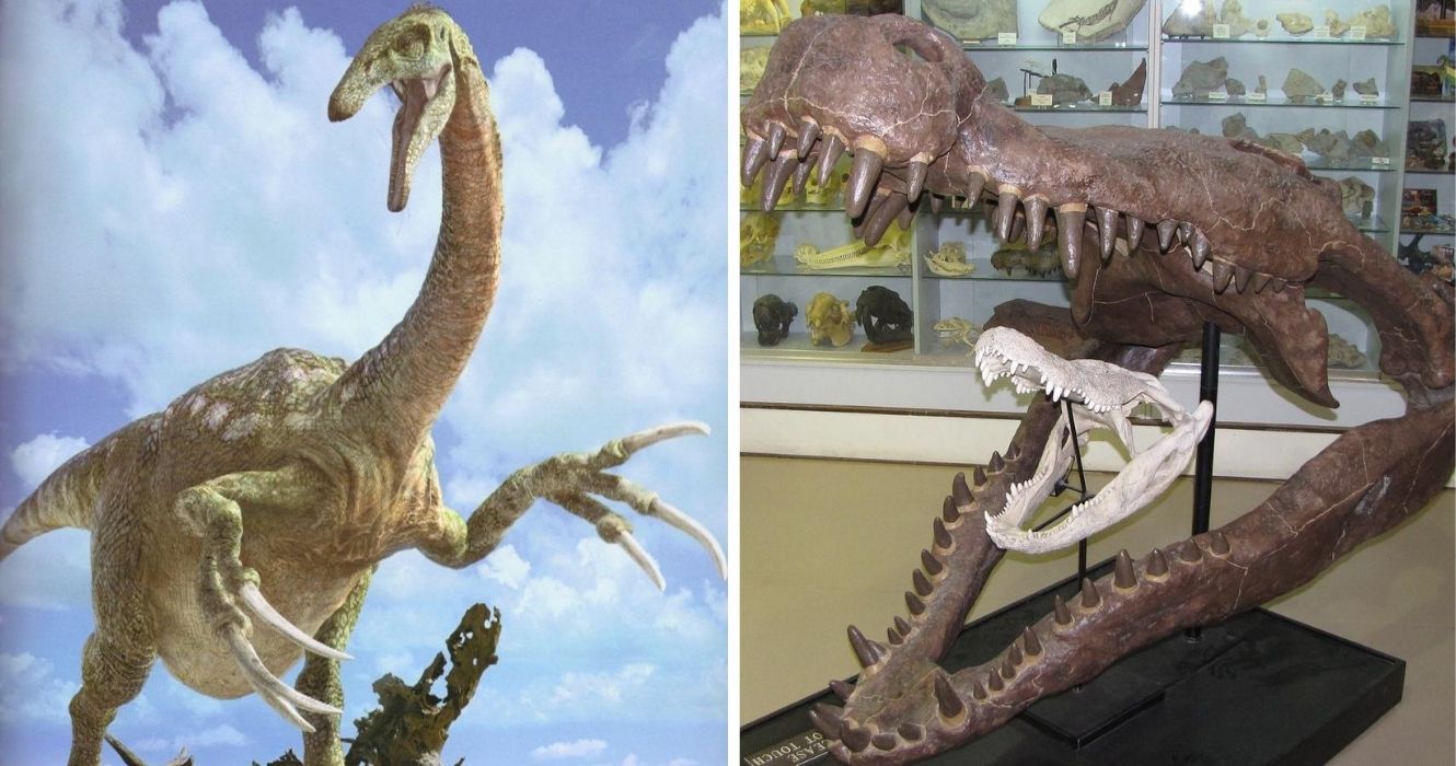 Crocodilos do tamanho de ônibus e outras incríveis espécies pré-históricas que já habitaram a Terra 1 um Therizinosaurus e Deinosuchusa