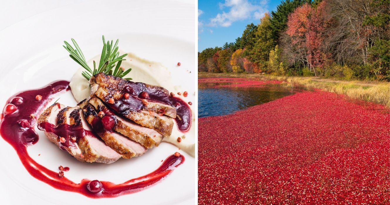 É a temporada de cranberry em Massachusetts e isso é o que experimentar, de acordo com os locais 1 um jantar de porco com cranberry, um pântano de cranberry em massachusetts