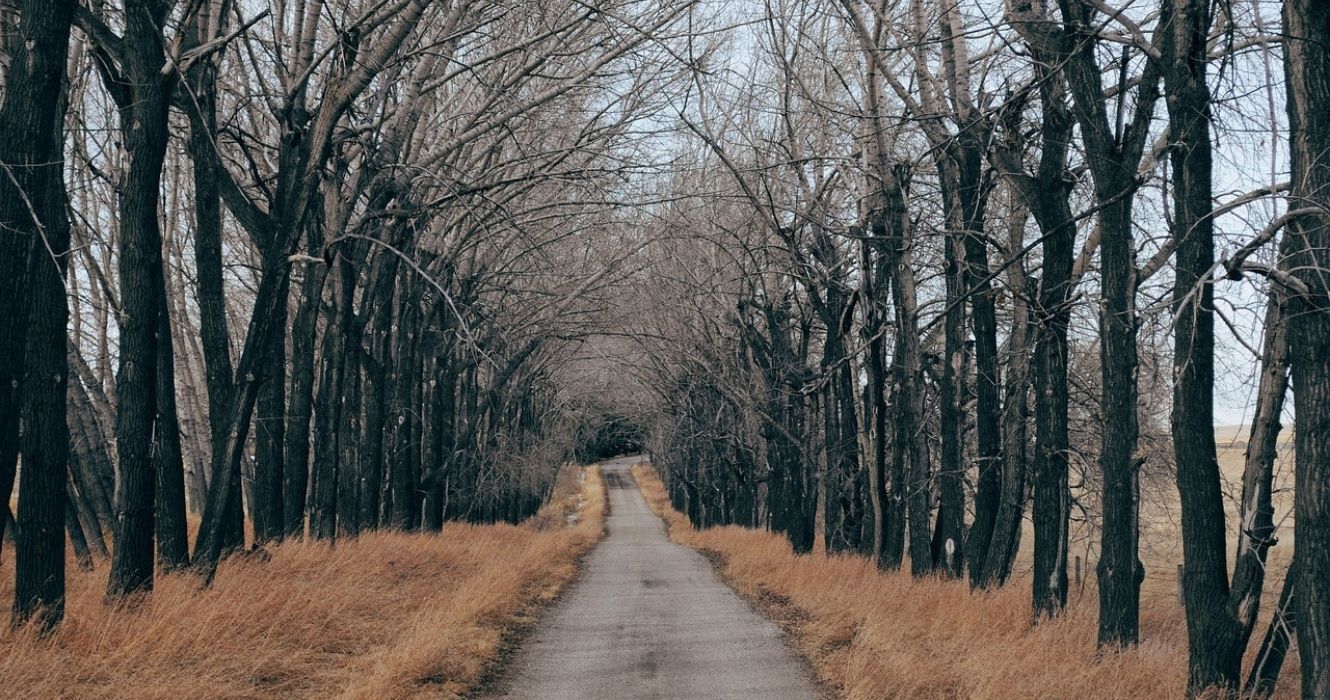 Estas estradas assombradas são os últimos lugares onde gostaríamos de ficar presos com um apartamento 1 uma estrada assustadora na floresta