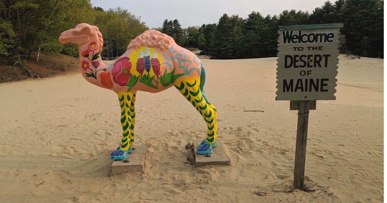 Há um deserto no Maine, e na verdade há uma casa enterrada embaixo 1 um camelo e uma placa dizendo boas-vindas aos visitantes do deserto de maine