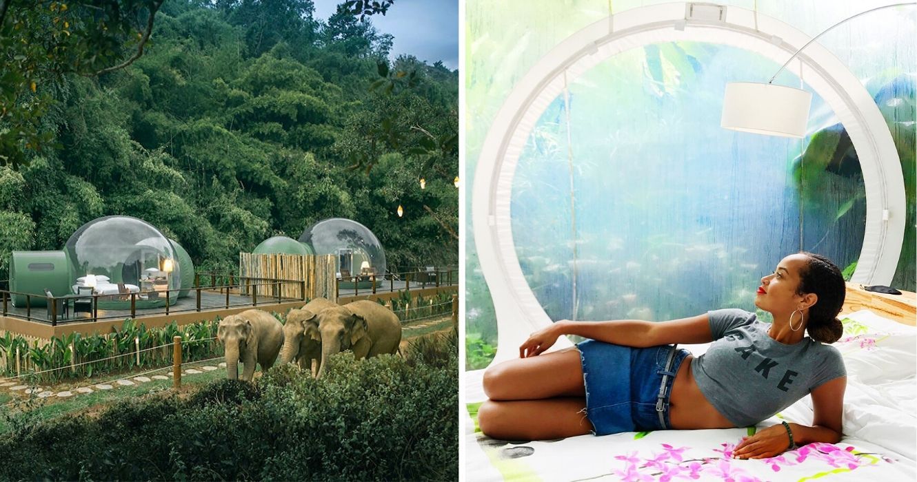 uma visão das bolhas da selva que todos os turistas podem ver elefantes éticos, uma mulher sentada dentro de uma bolha da selva